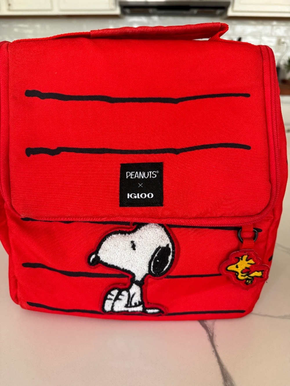 Igloo Snoopy’s House 16-Can Lunch Pail